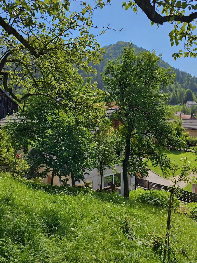 Apartmán Charming Bella Hideout - Adults Only Jesenice Exteriér fotografie